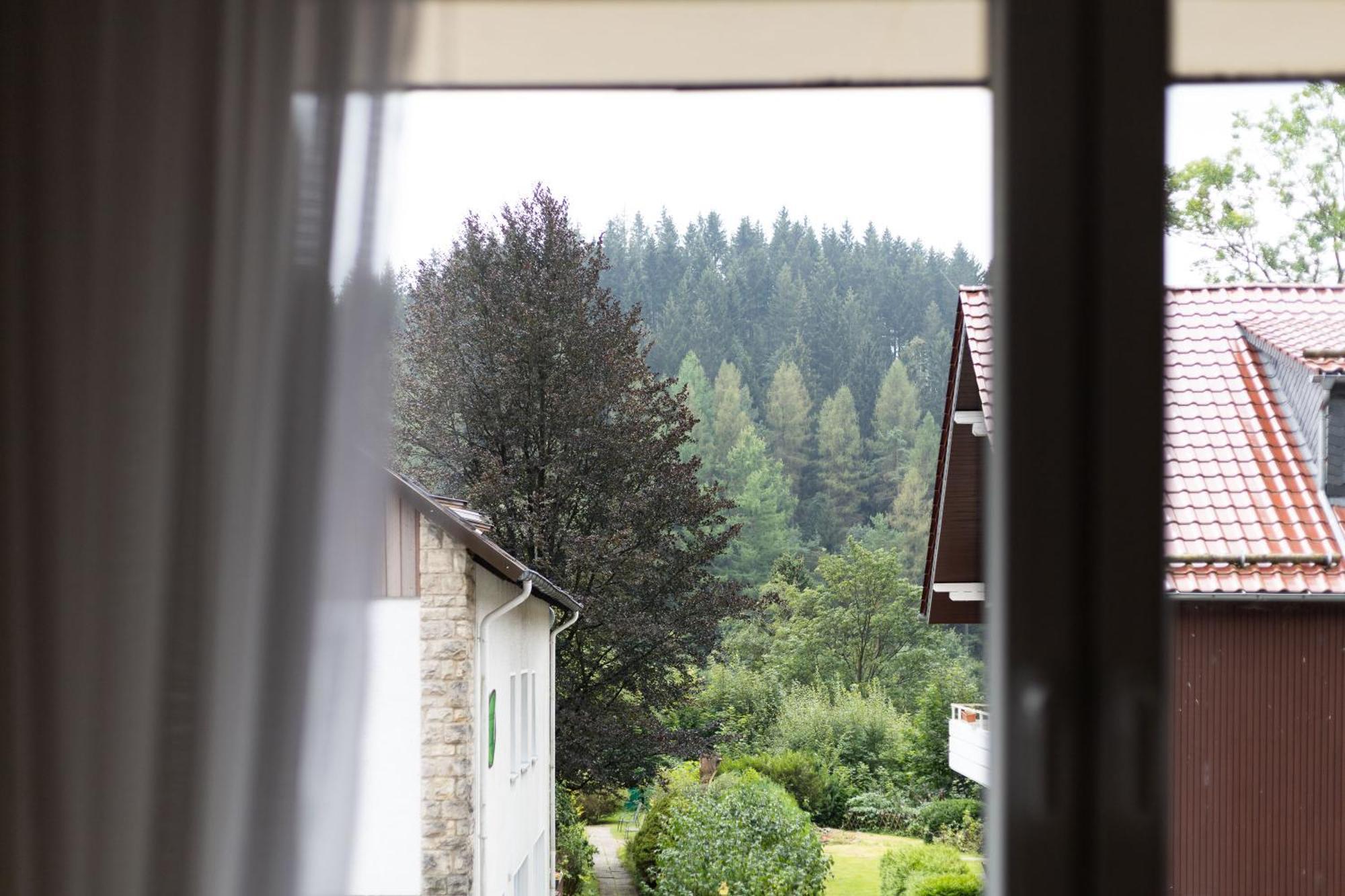Apartmenthaus Am Waldrand- Kueche - Fruehstueck - Balkon Wildemann Dış mekan fotoğraf